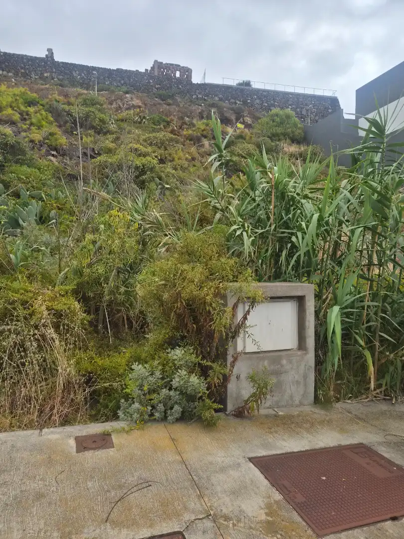 Terreny residencial en venda a Garachico, imagen 6