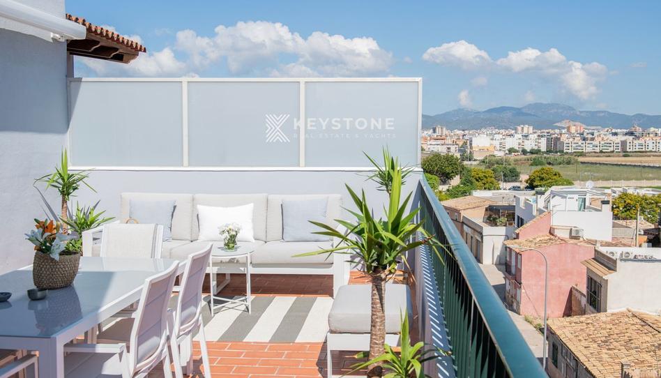 Photo 1 of Attic to rent in Distrito Portixol-molinar, Es Portixol - Es Molinar, Illes Balears