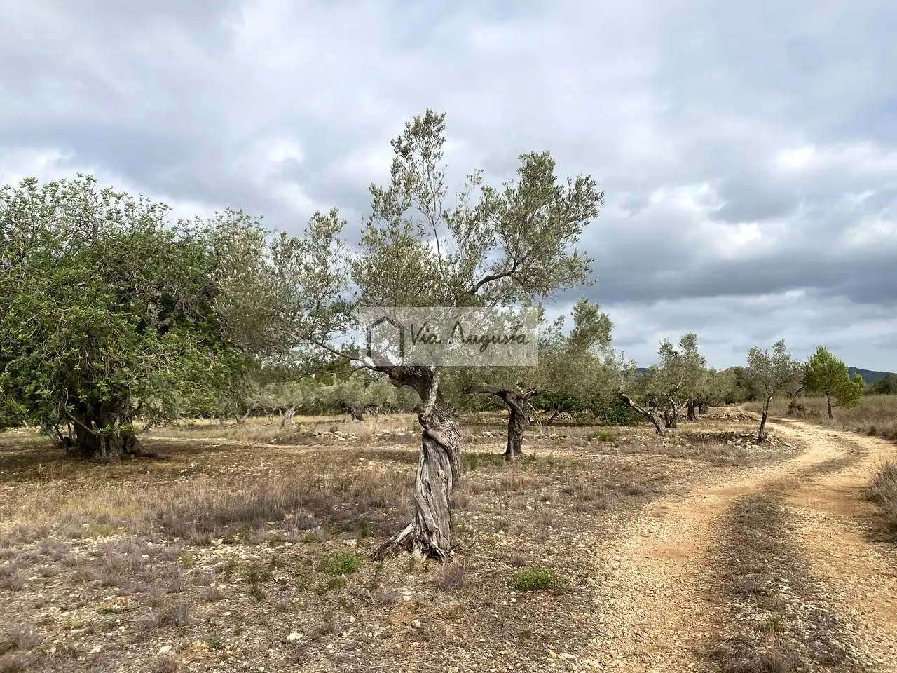 Terreno rustico in vendita a Mas de Baralluga, imagen 5