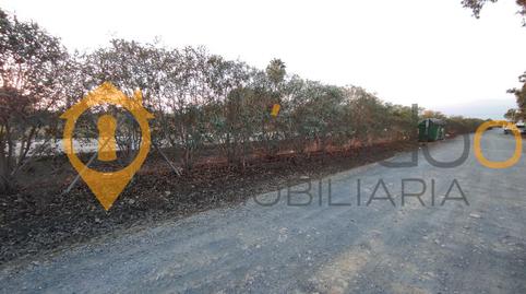 Foto 4 de Casa o xalet en venda a Carmona, Carmona, Sevilla