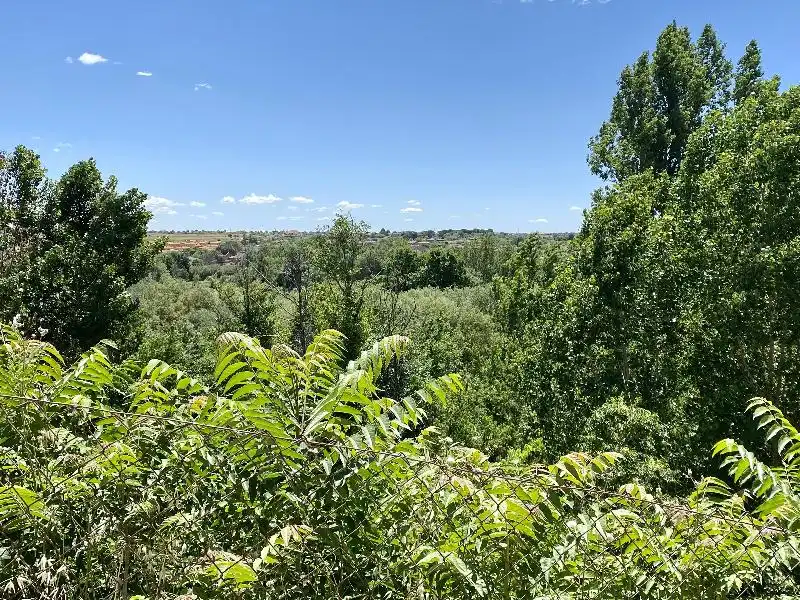 Terreni e lotti in vendita a Escalona, imagen 18