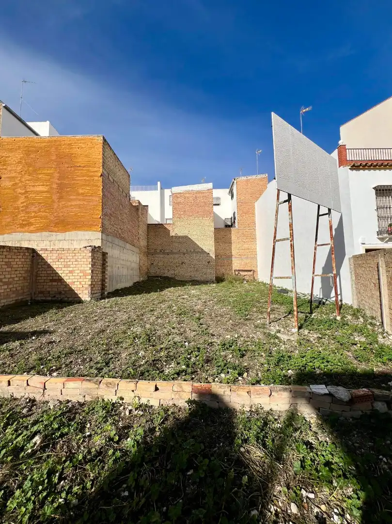Terrenos y solares en venta en Estepa, imagen 3