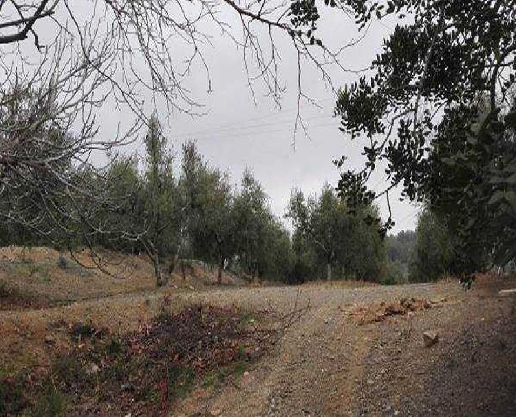 Terreno en venta en Reus
