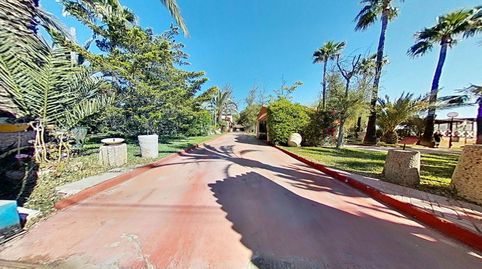 Foto 3 de Casa o xalet en venda a Peña de las Águilas, Elche / Elx