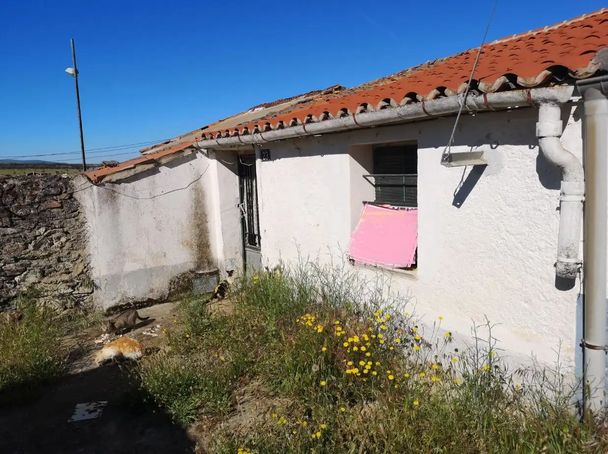 Vista exterior de Casa o xalet en venda en Pizarral