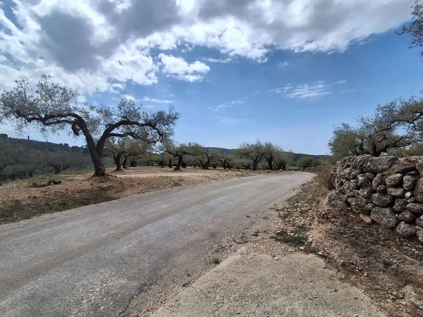 Terreno rustico in vendita a El Perelló, imagen 38