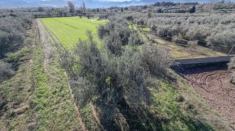 Photo 5 of Land for sale in Camino del Cerro, 189, Villa de Otura, Granada