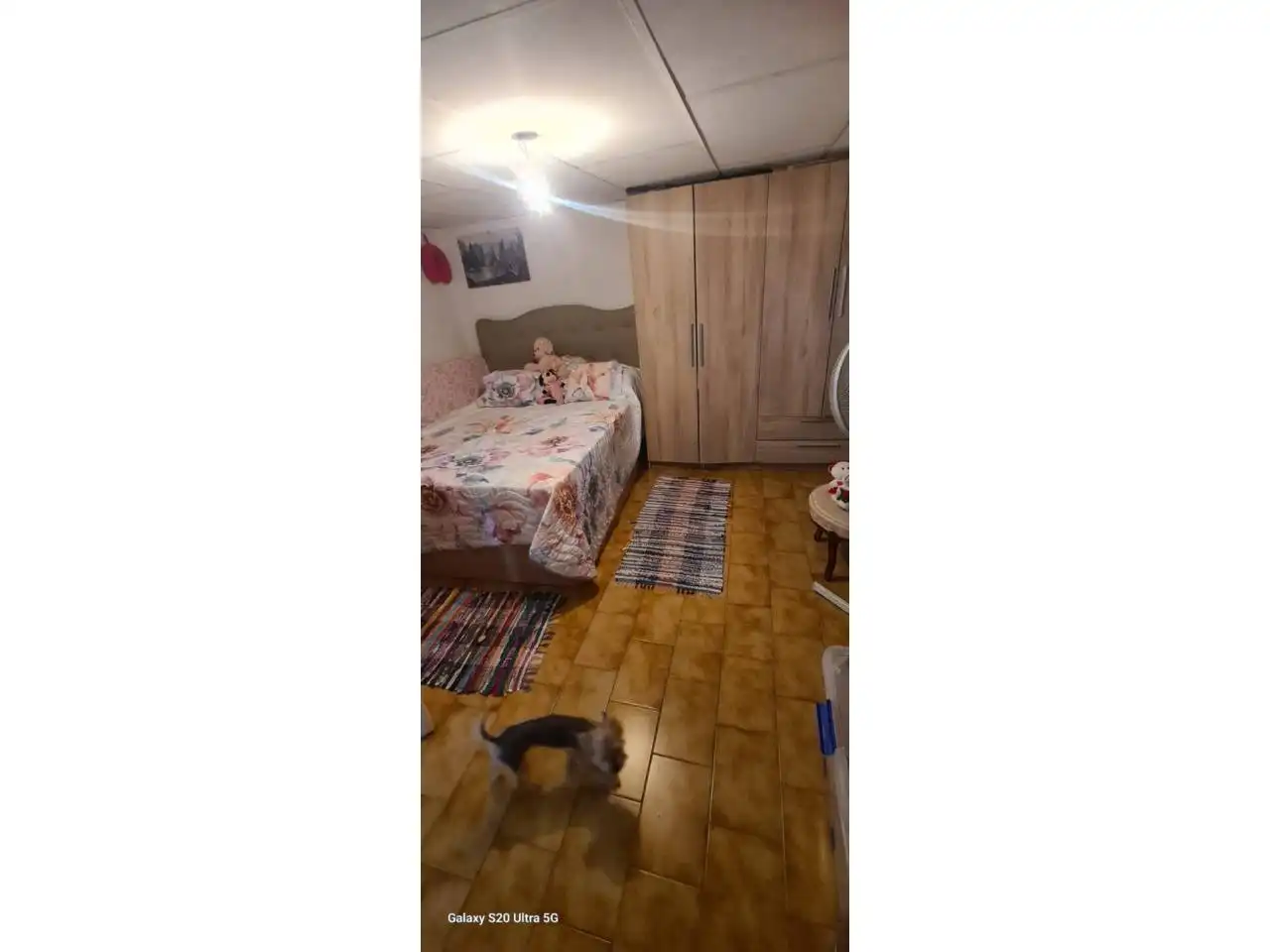 Casa o xalet en venda a Calle Vistabella, Ciutat del Transport - La Salera