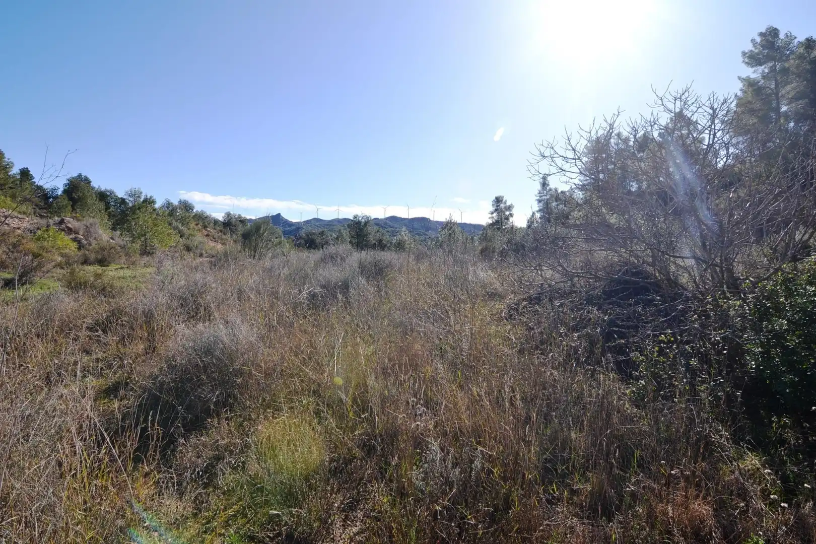 Rural land for sale in Ascó, imagen 34