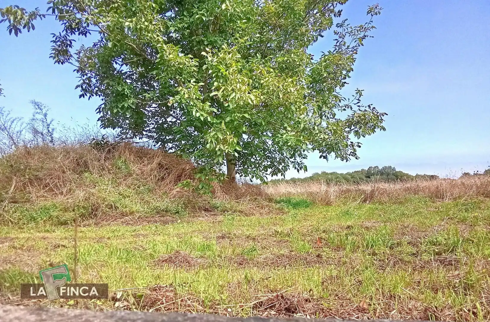 Casa o xalet en venda en El Franco 