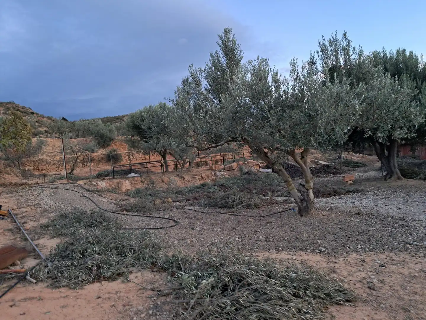 Finca rústica en venta en Riba-roja d'Ebre con Aire acondicionado y Trastero