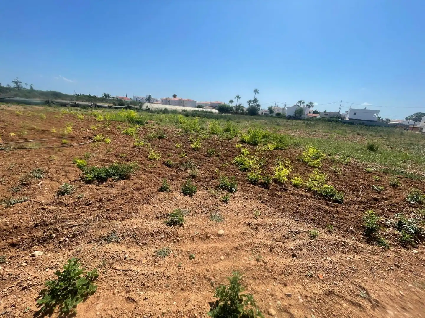 Detached house with garden for sale in CALLE BARBIGUERA 18, imagen 7