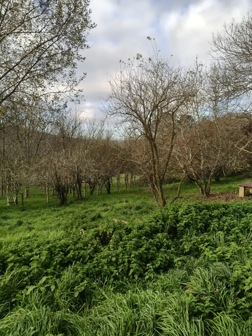 Country house with garden for sale in Cedeira, imagen 25