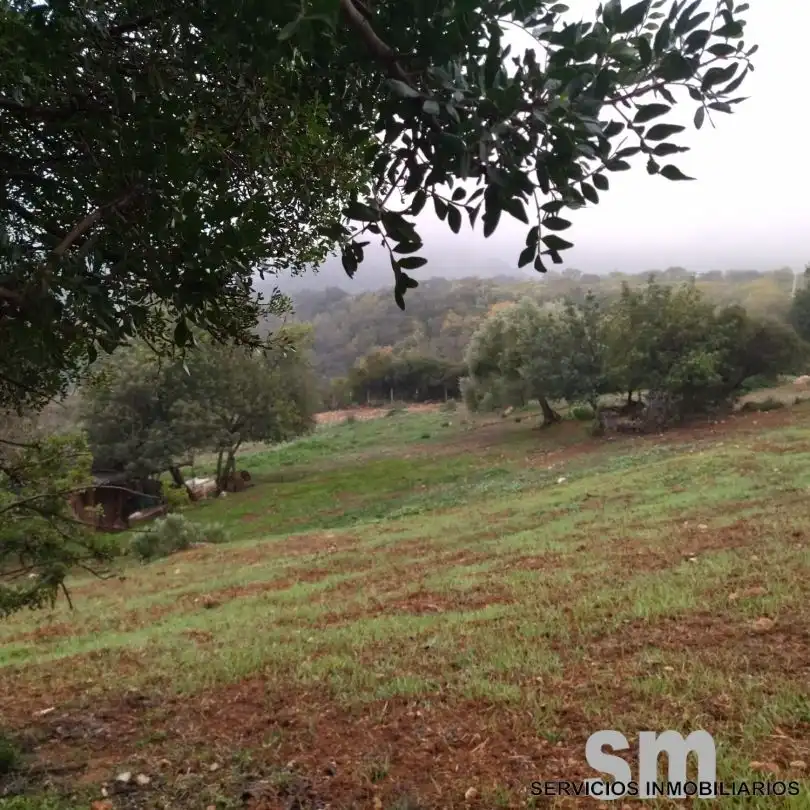 Terreni e lotti in vendita a Benaocaz, imagen 18