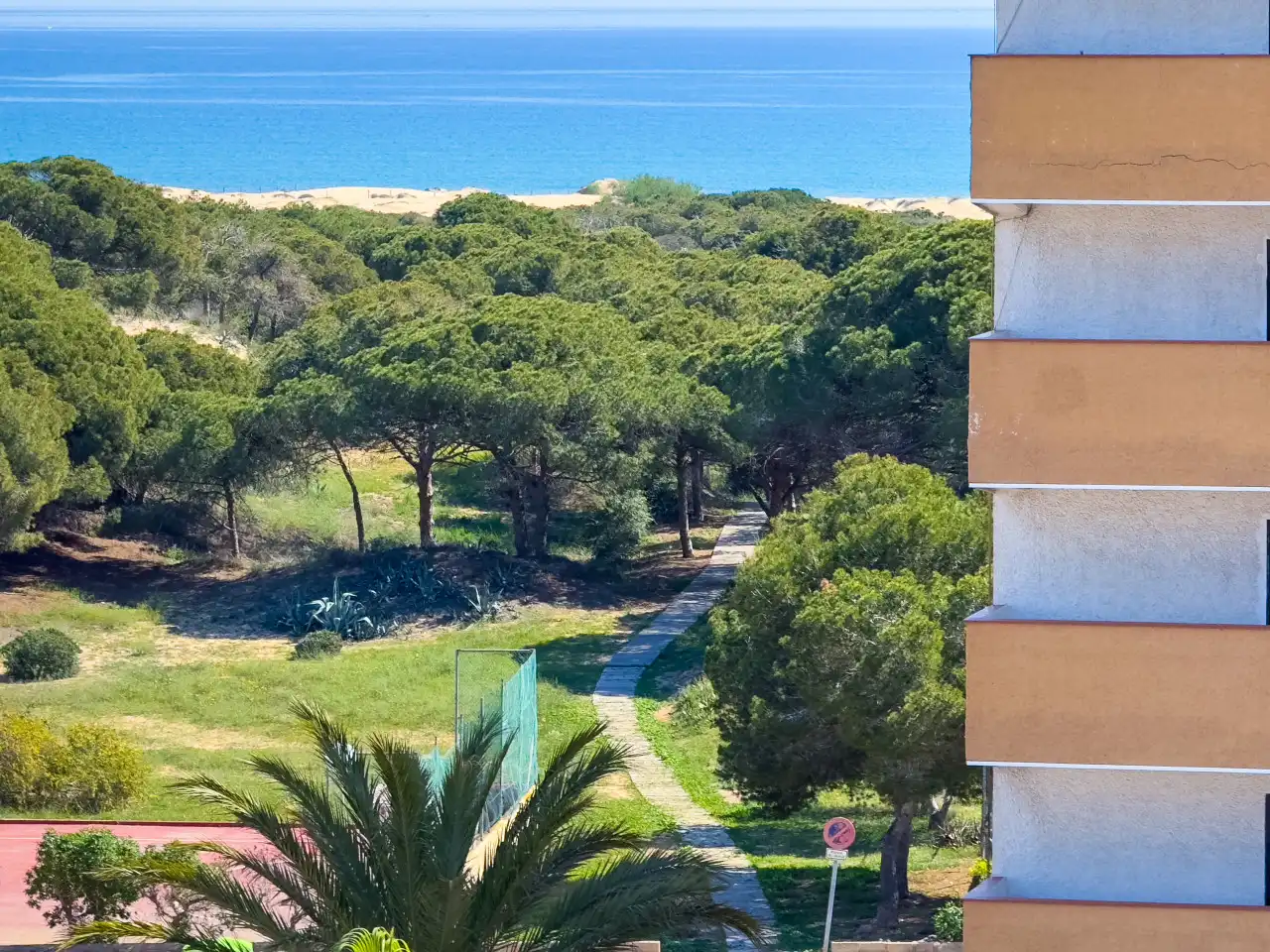 Garden of Apartments for sale in Guardamar del Segura  with Heating, Swimming Pool and Furnished