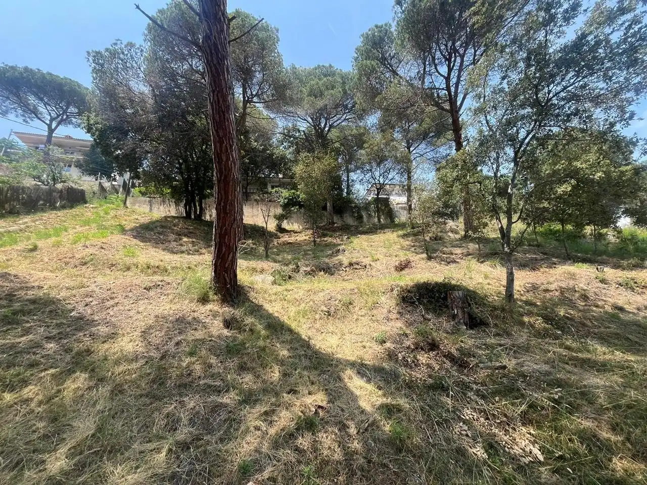 Terrenos y solares en venta en calle Joan Maragall i Gorina, imagen 11