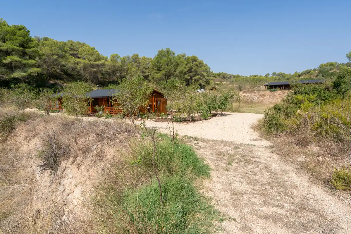 Terreny rústic en venda a Carrer de la Creu 35, imagen 41