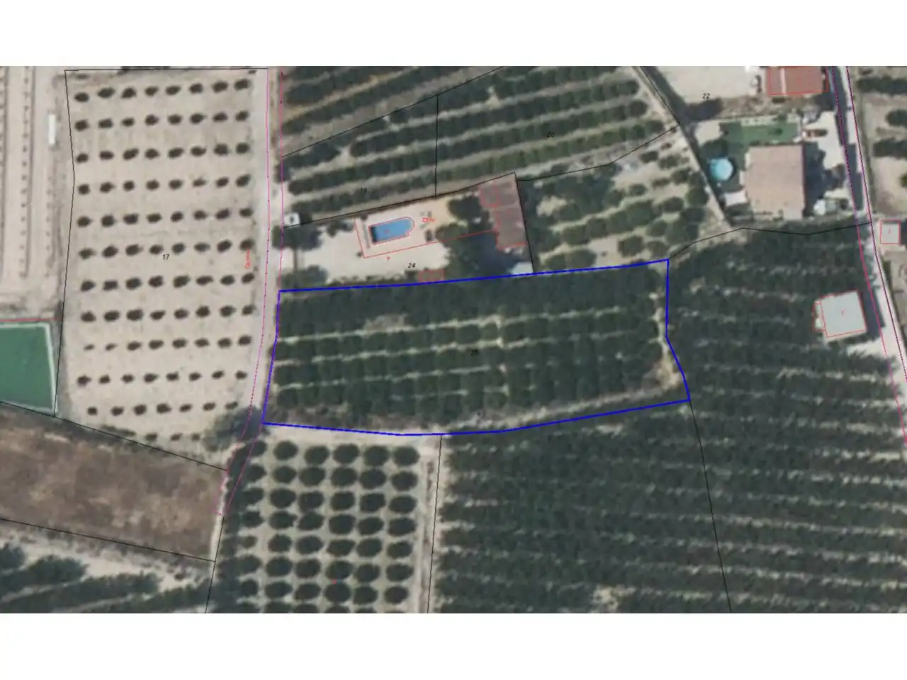 Rural land for sale in Archena