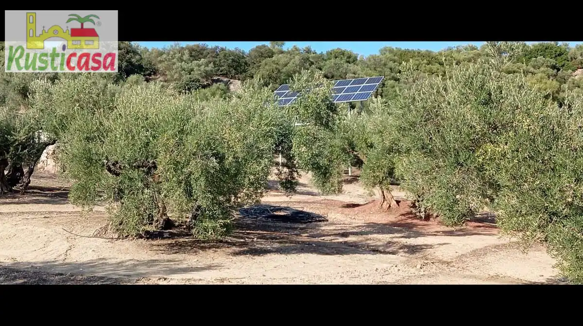 Terreni e lotti in vendita a Cañada Baeza, imagen 3