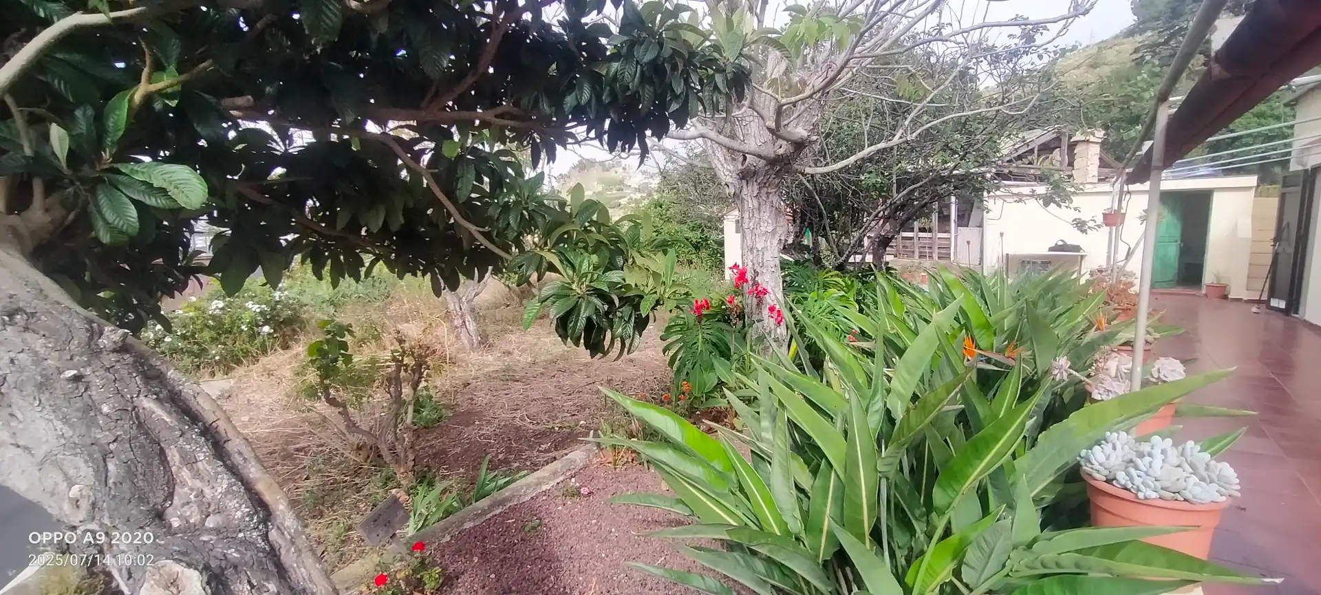 Casa o chalet en venta en San Cristóbal de la Laguna con Jardín privado, Parquet y Terraza