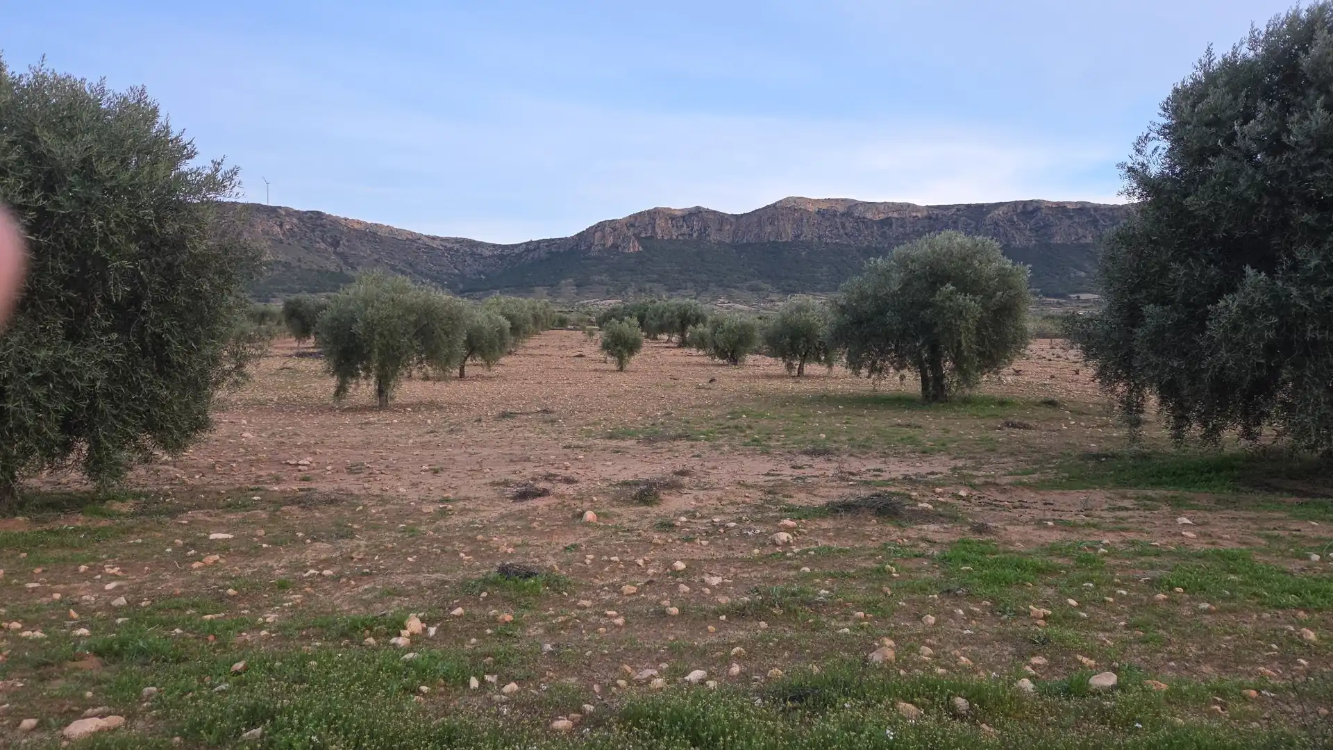 Terreny residencial en venda a Jumilla, imagen 4