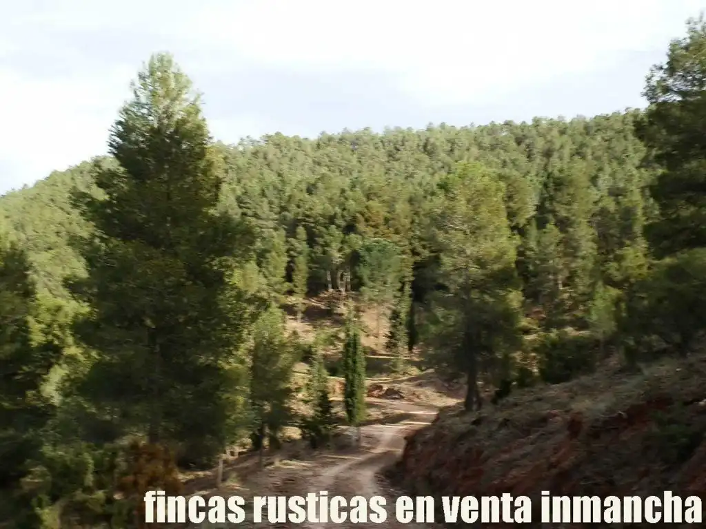 Rural land for sale in Requena, imagen 3