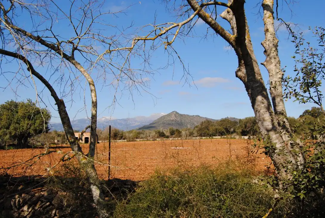 Terreno rustico in vendita a Diseminado Diseminados Var 248, imagen 4