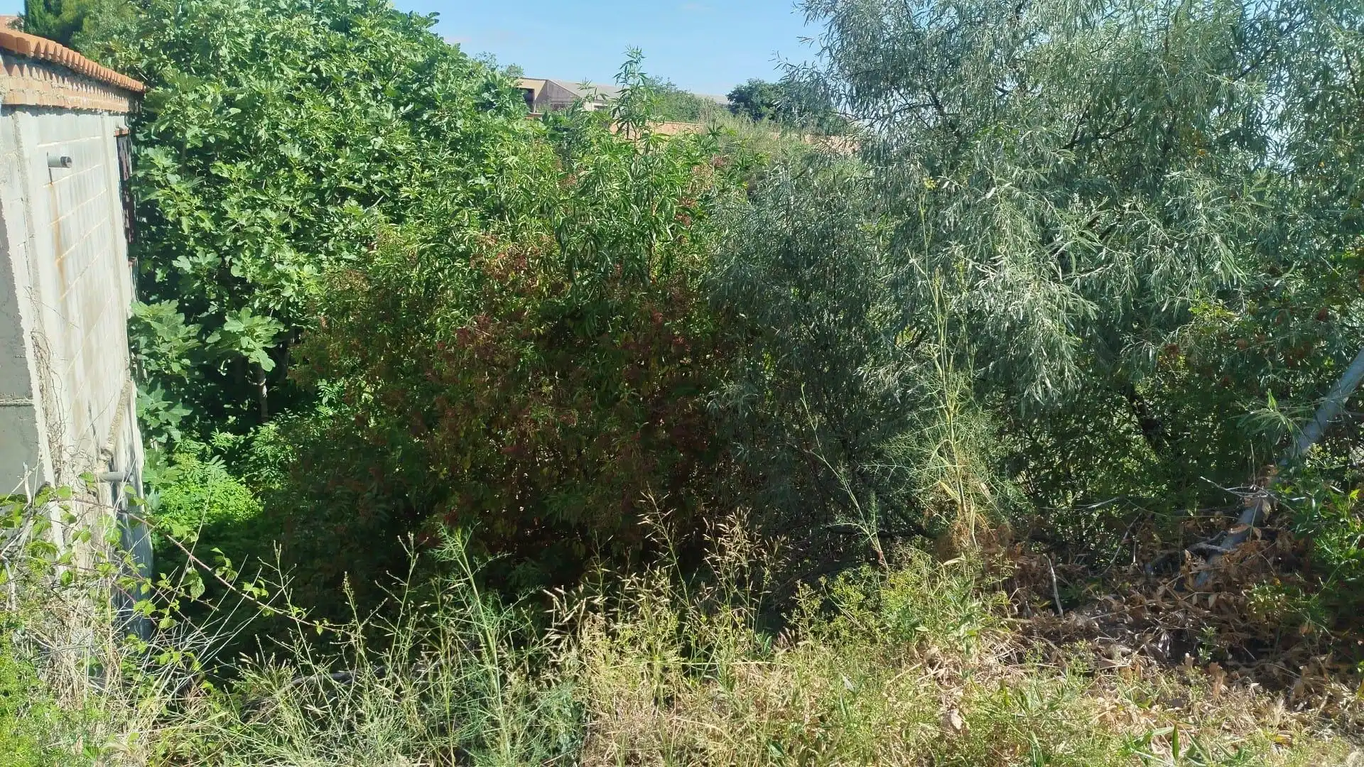 Rural land for sale in Tarazona, imagen 3
