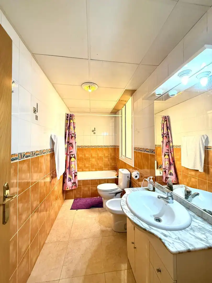 Baño de Edificio en venta en La Pobla de Mafumet