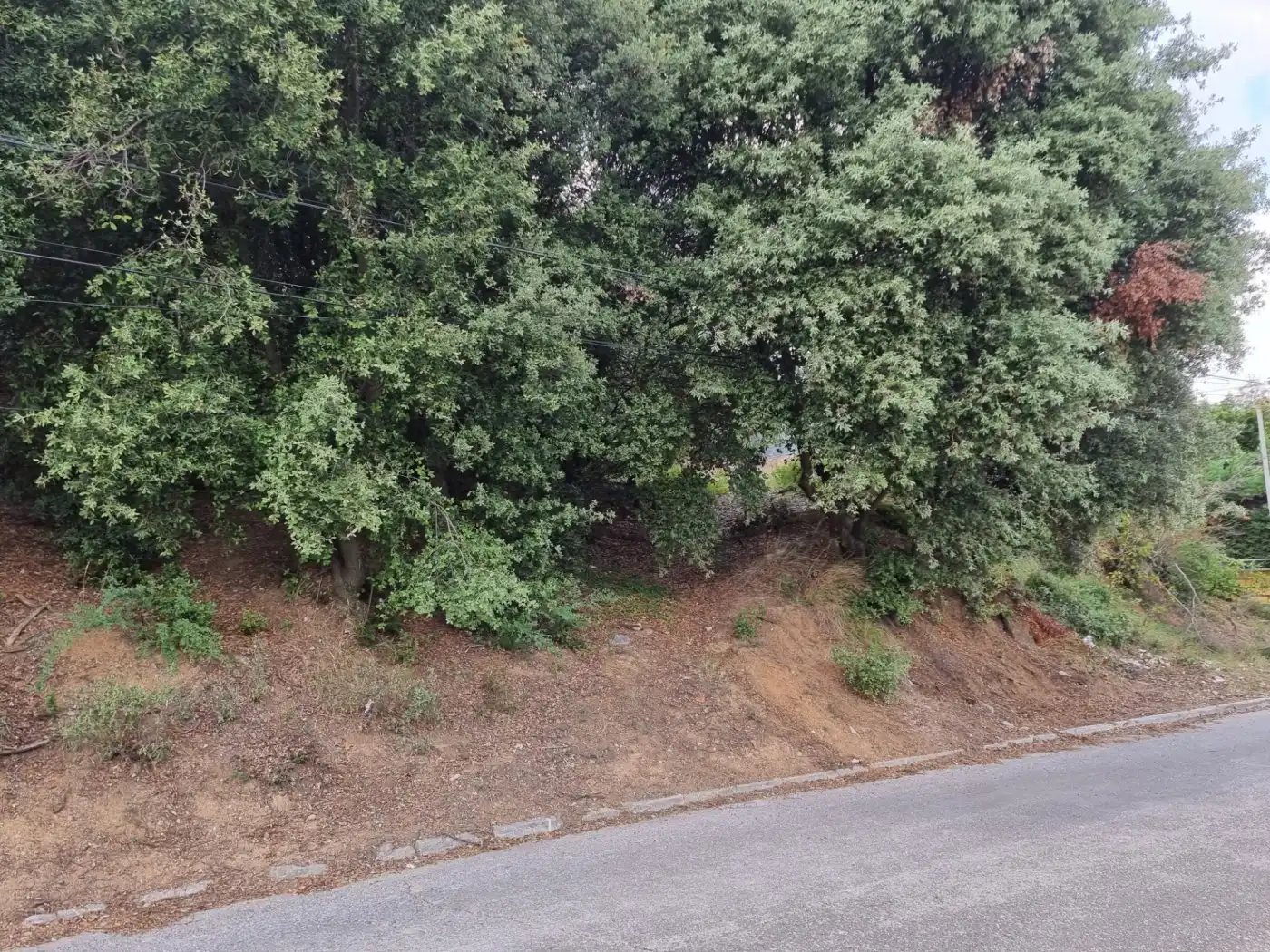 Lands and plots for sale in Calle MARGALLO, imagen 6
