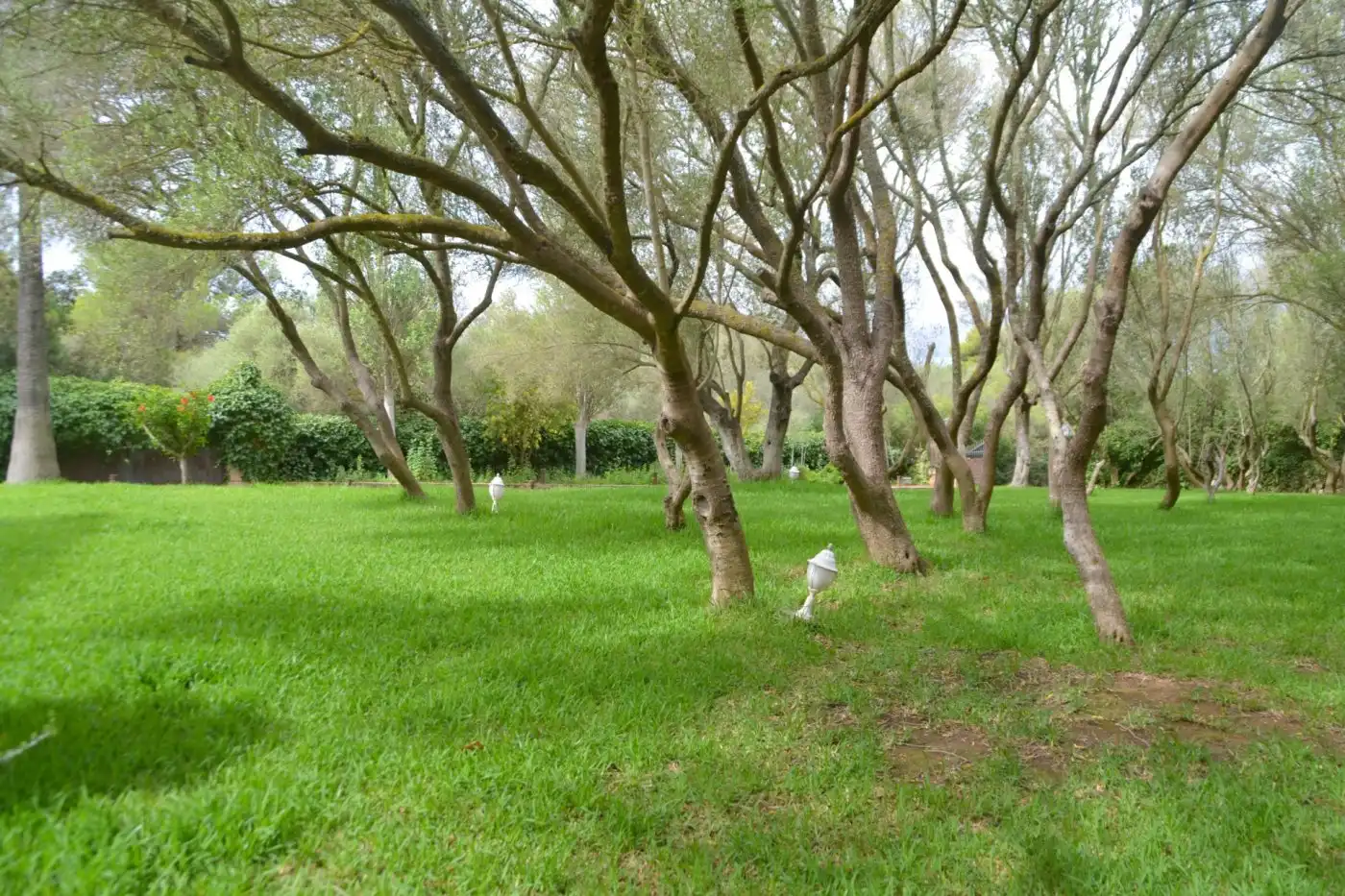 Finca rústica en venta en Son Gual