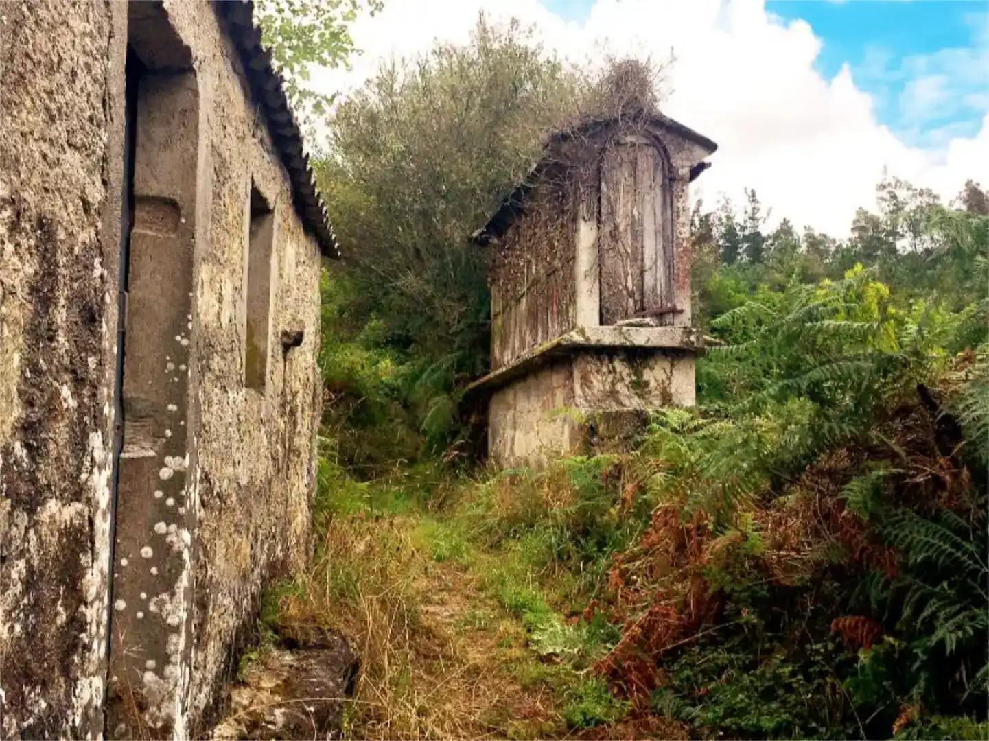 Vista exterior de Finca rústica en venda en Vilarmaior