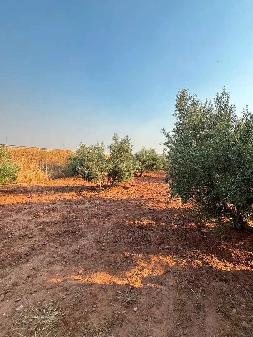 Casa o xalet en venda en Valdepeñas