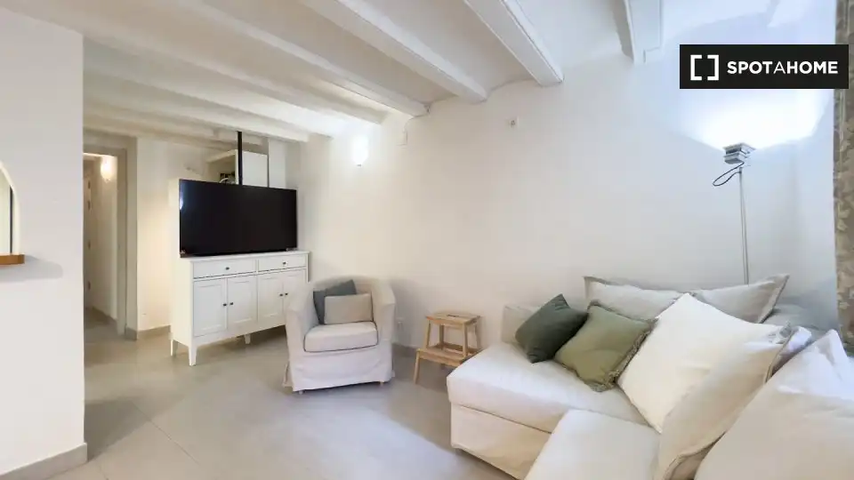 Flat with terrace to rent in Ciutat Vella, imagen 14