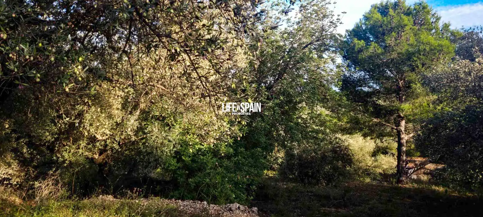 Finca rústica en venda en Roquetes amb Jardí privat i Piscina