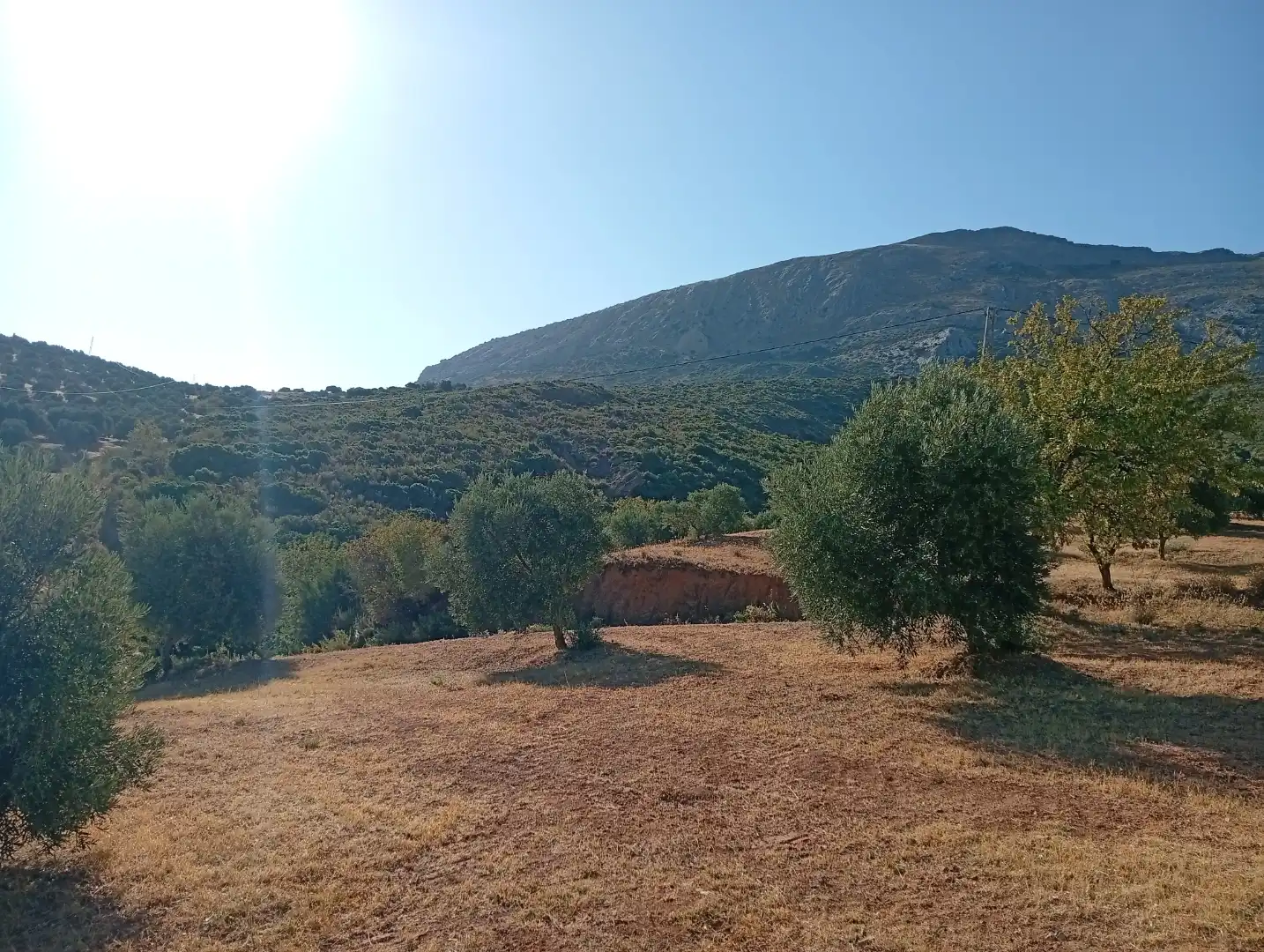 Grundstücke zum Verkauf in Valle de Abdalajís