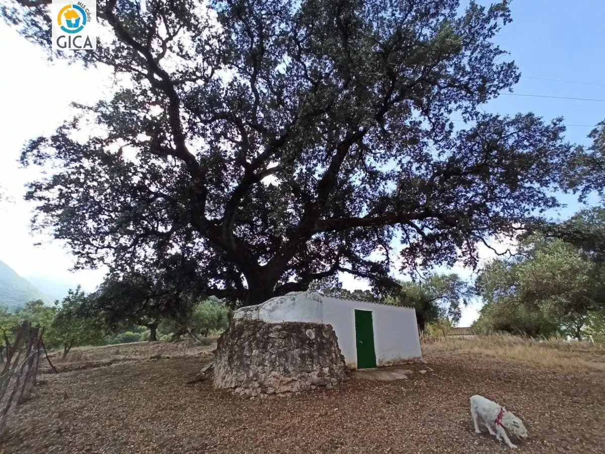 Casa rústica en venda a El Bosque, imagen 24