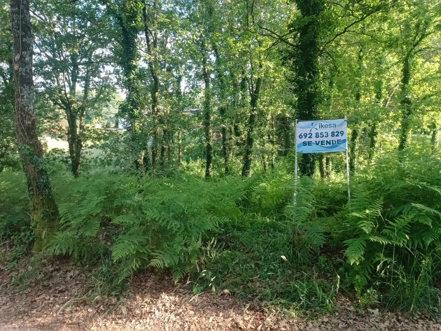 Terreno en venta en Tomiño