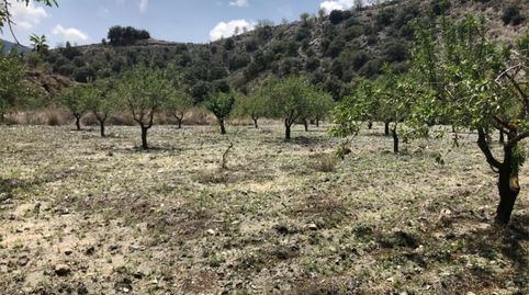 Photo 5 of Land for sale in Diseminado Nogalte, 58, Nogalte, Lorca