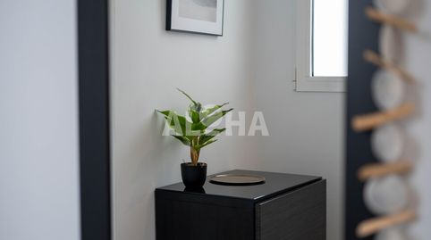 Photo 5 of Apartments for rent in Alfara del Patriarca, Valencia