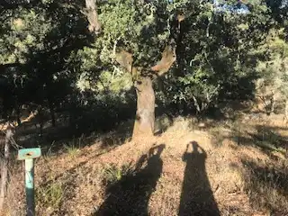 Terreni e lotti in vendita a Cortegana, imagen 29