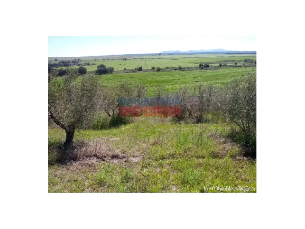 Country homes for sale in Alcolea de Tajo