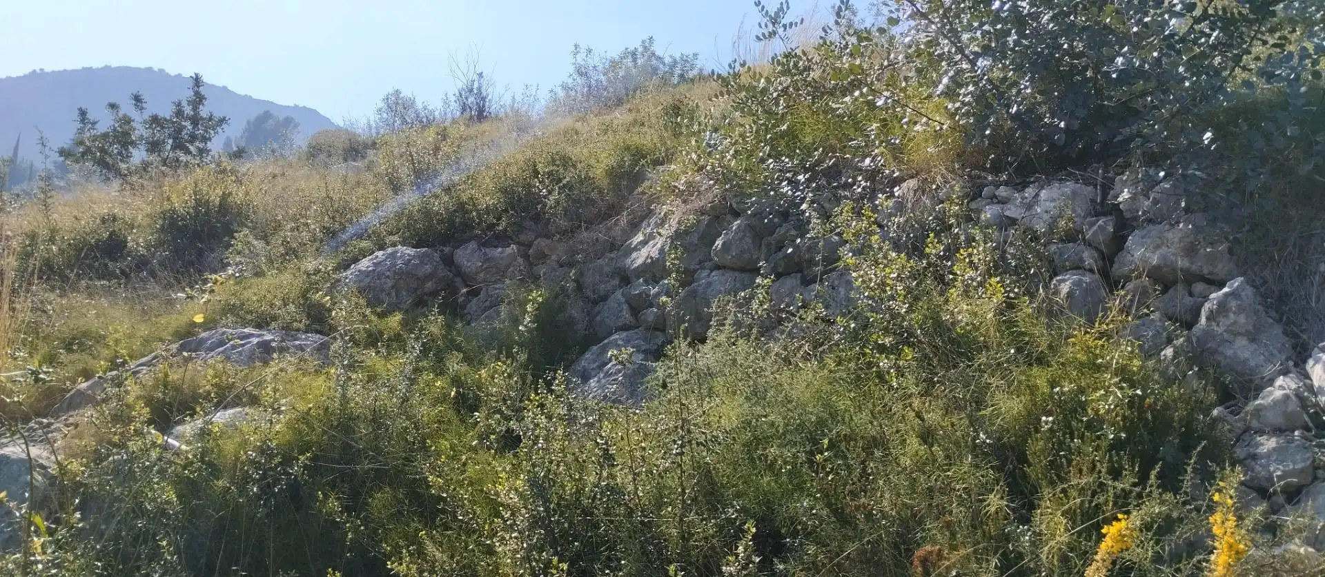 Rural land for sale in Pego, imagen 10