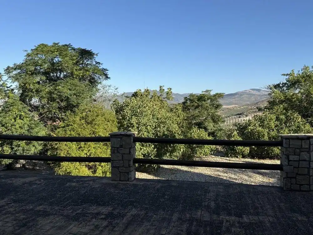Vista exterior de Finca rústica en venta en Colomera con Calefacción, Terraza y Piscina