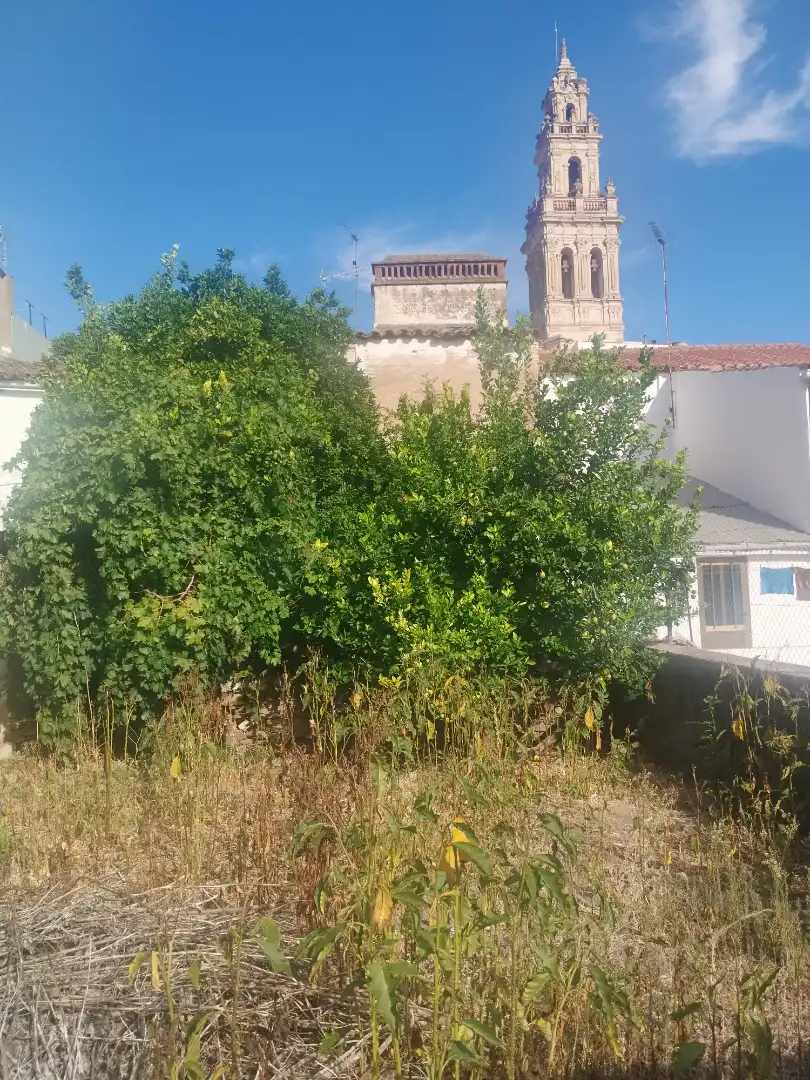 Casa con giardino in vendita a Calle Derecha, imagen 27