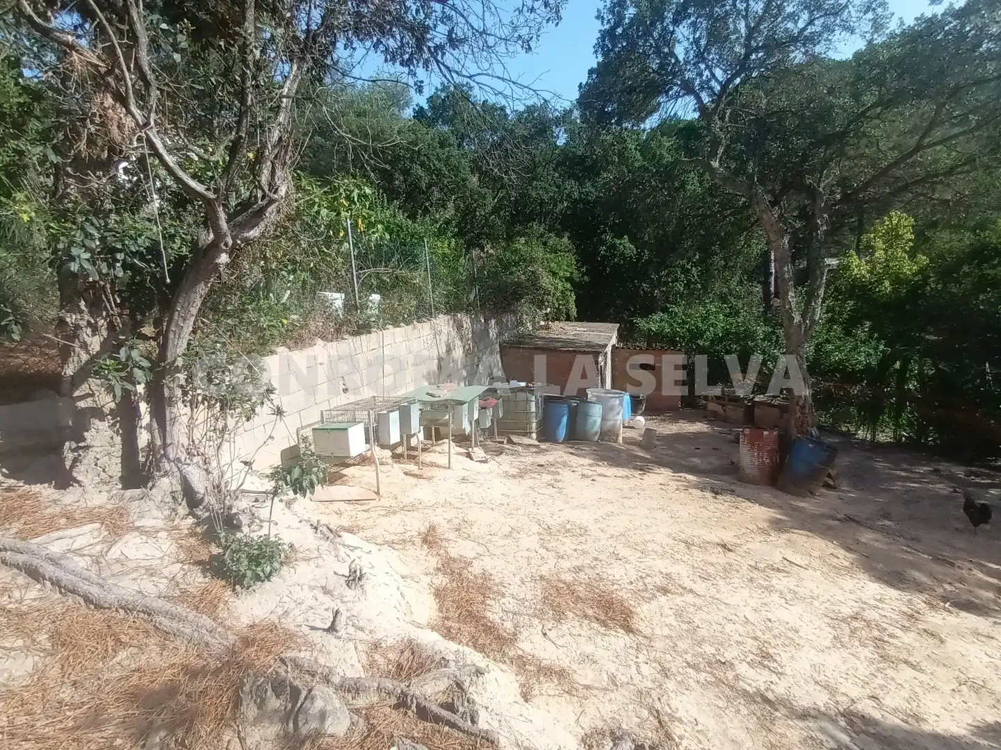 Residential land for sale in Montbarbat, imagen 6