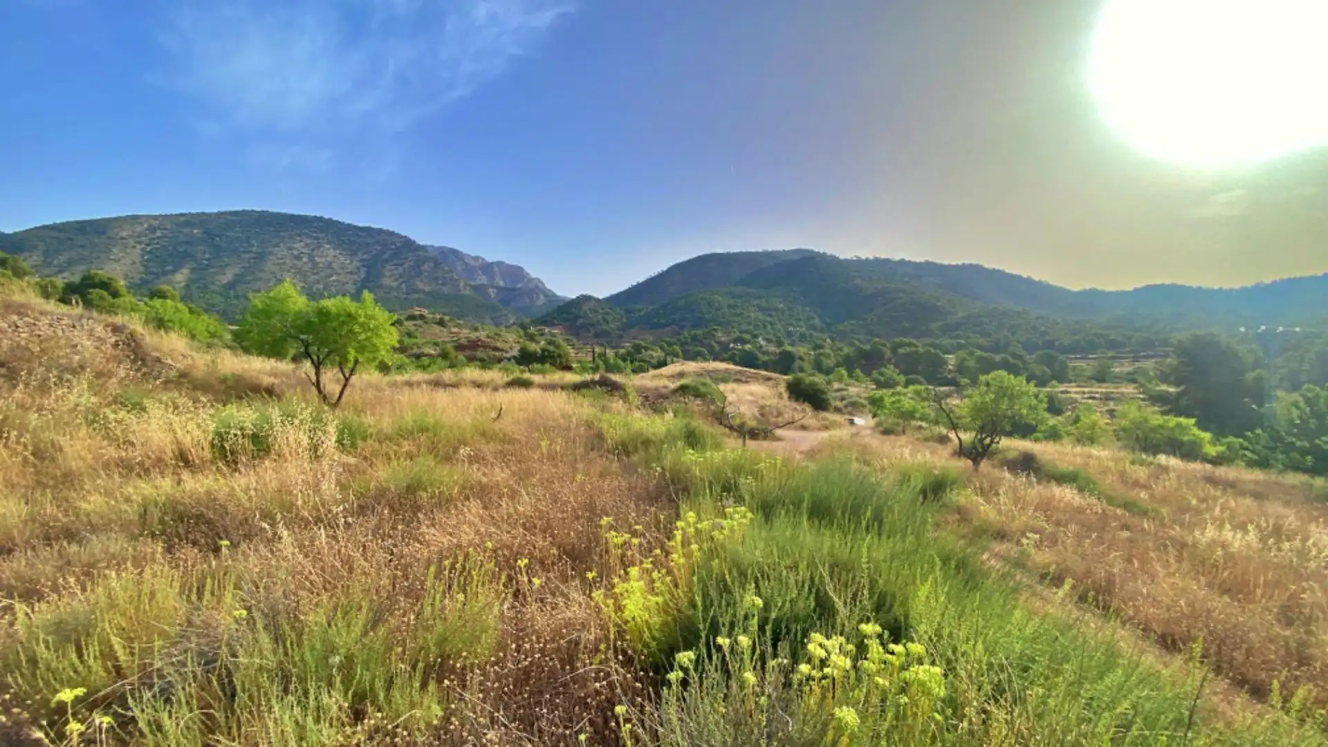 Country homes for sale in Totana