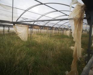 Terreny industrial en venda en Alcanar
