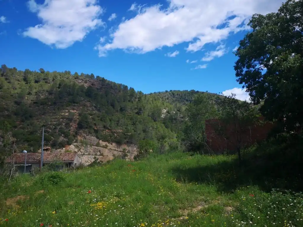 Terreny rústic en venda a PEDRALBA, imagen 4