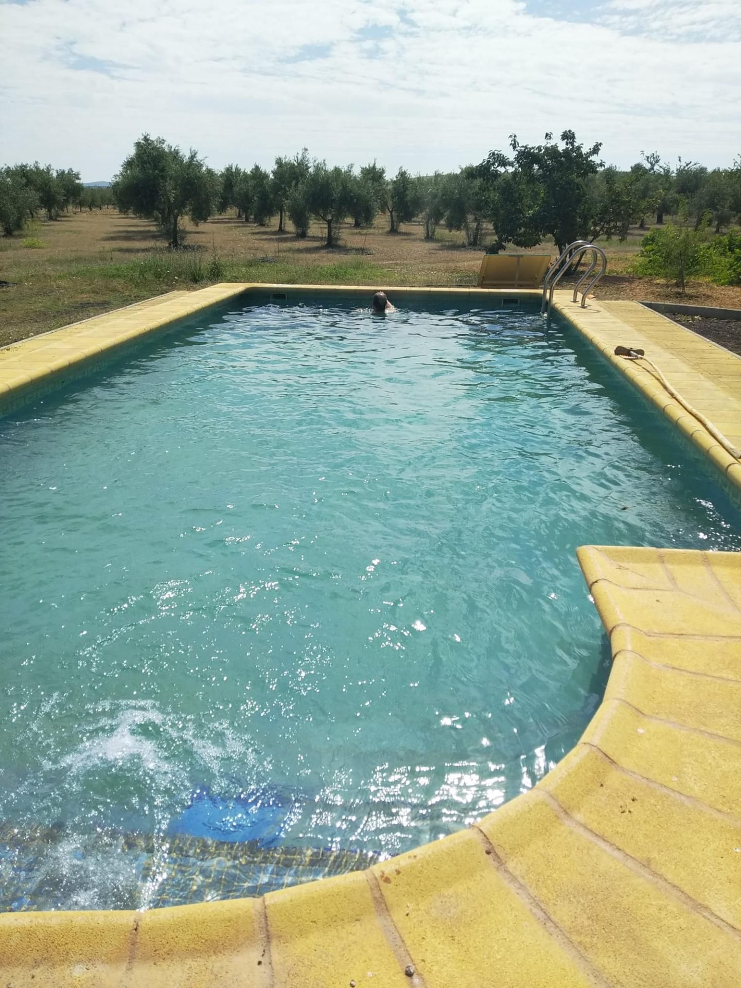 Piscina de Casa o chalet en venta en Villamayor de Calatrava con Jardín privado, Trastero y Piscina